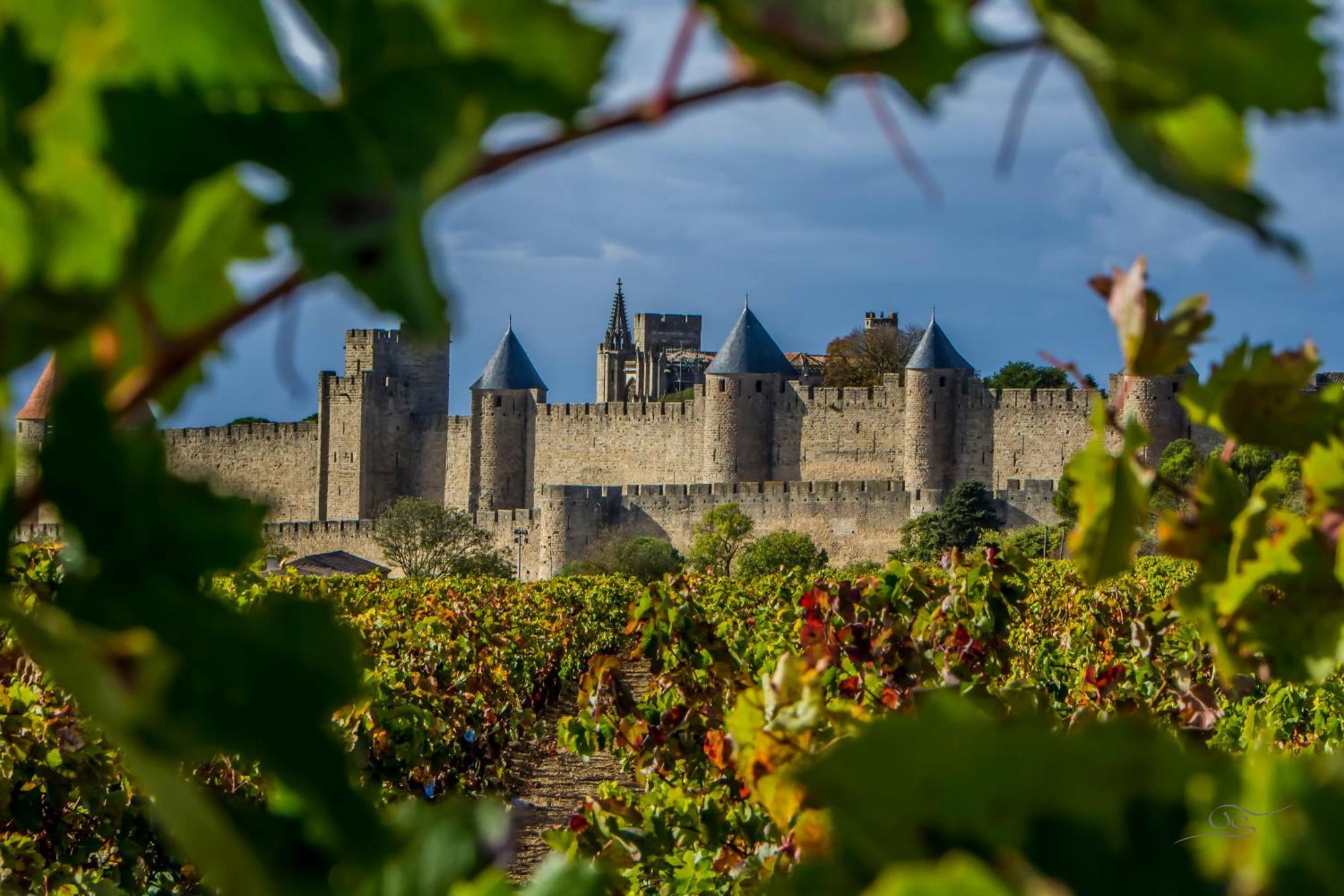 Maison Cantalauze - Pays Cathare - Carcassonne - Canal Du Midi Trèbes Exterior foto